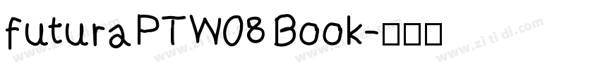 futuraPTW08 Book字体转换
